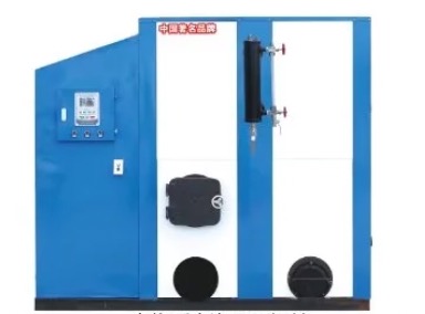 生物质水汽两用锅炉